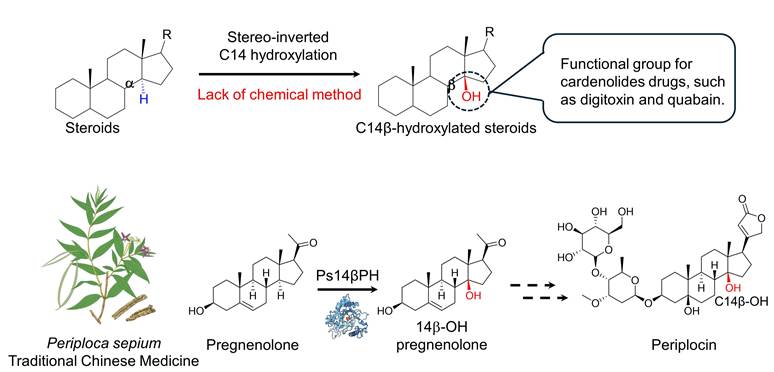 图示, 示意图

AI 生成的内容可能不正确。